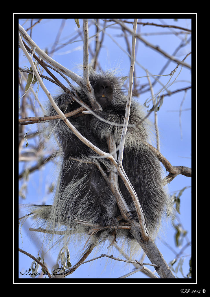 W_DSC9520.jpg