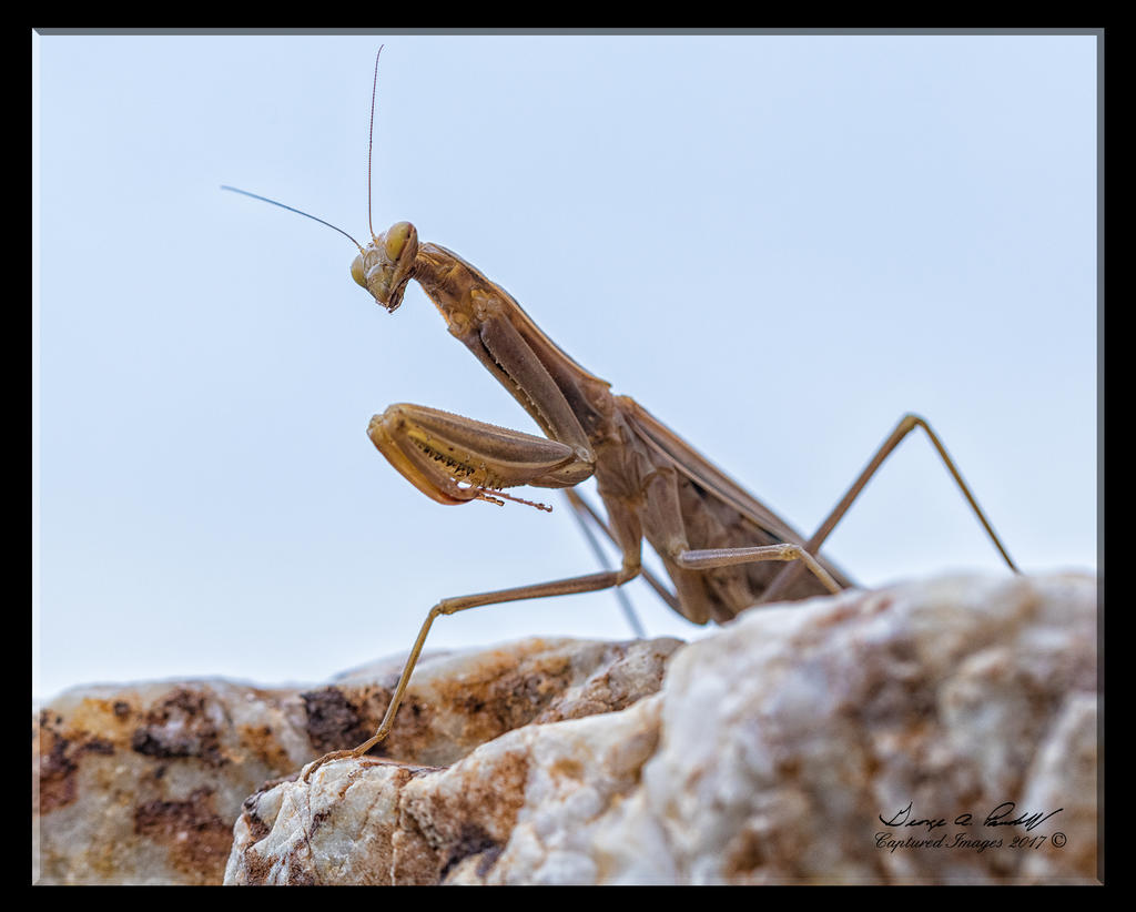 W_DSC_0170.jpg