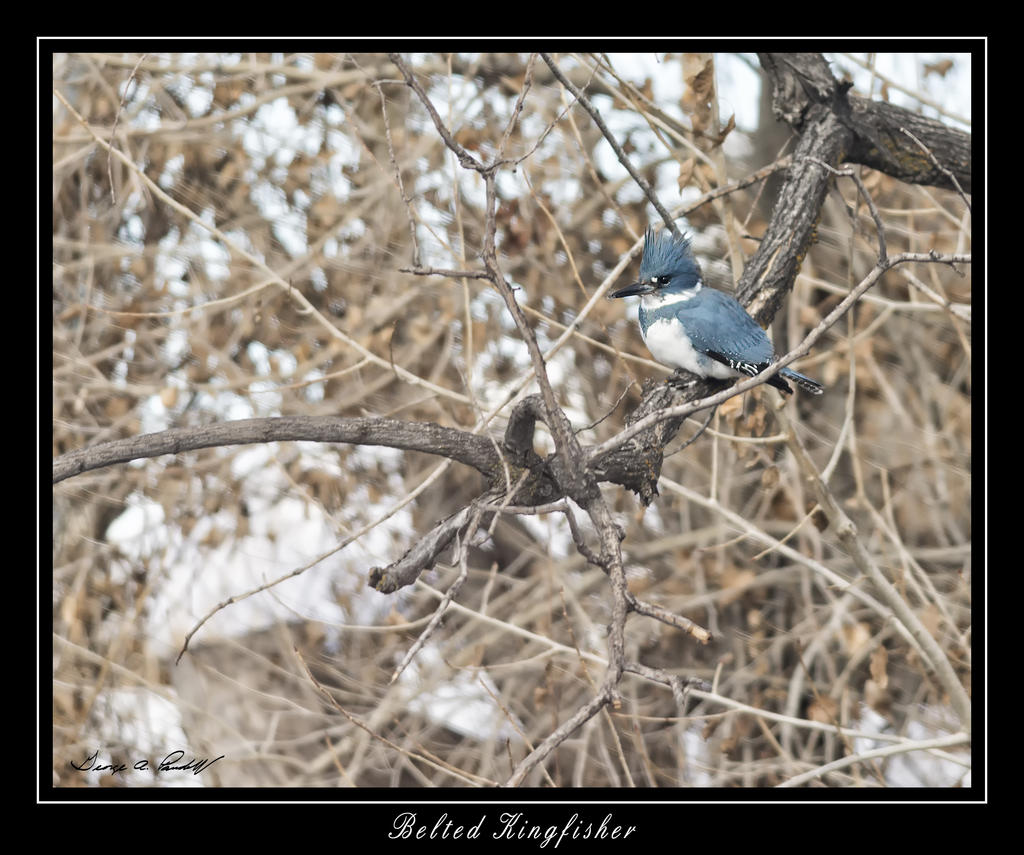W_DSC_0243.jpg