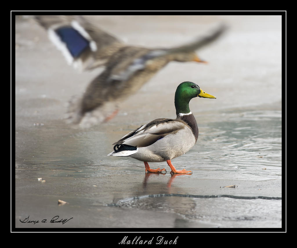 W_DSC_0278.jpg
