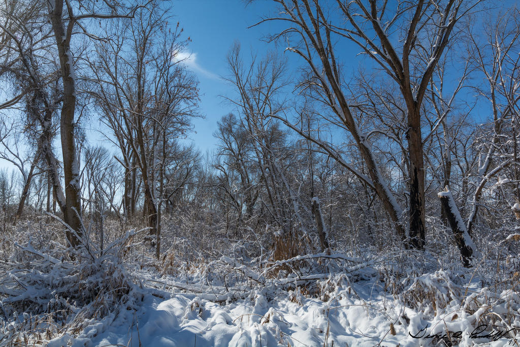 W_DSC_0370.jpg