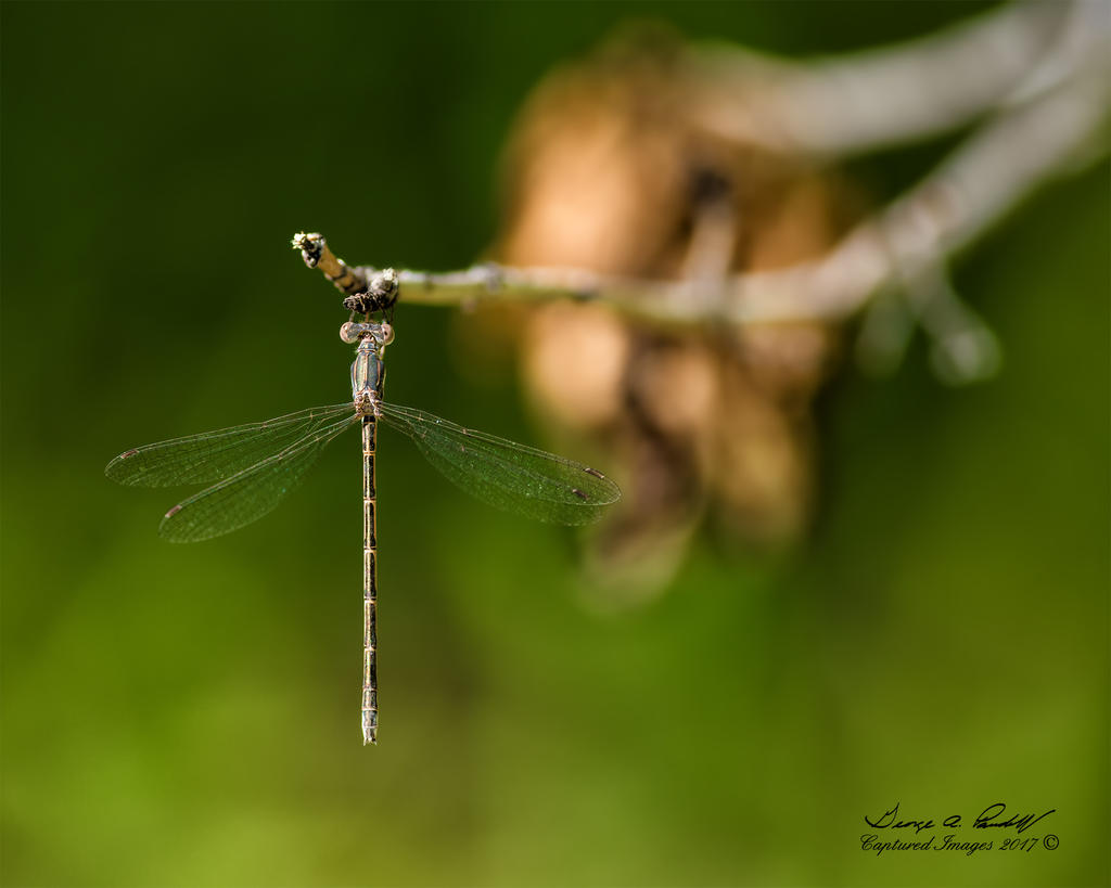 W_DSC_0371.jpg