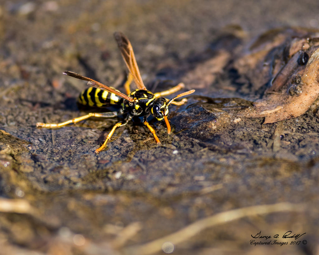 W_DSC_0430.jpg