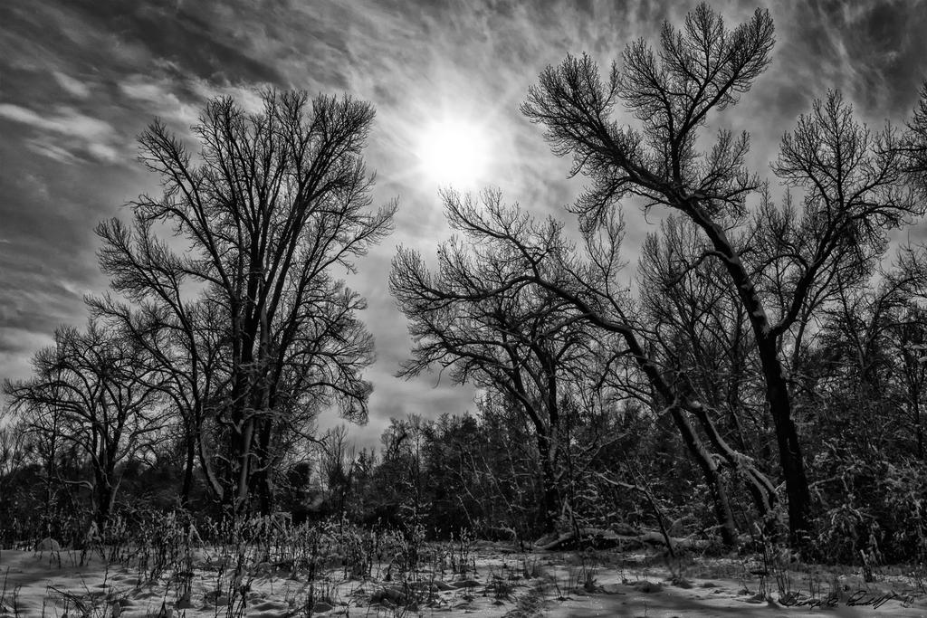 W_DSC_0565.jpg