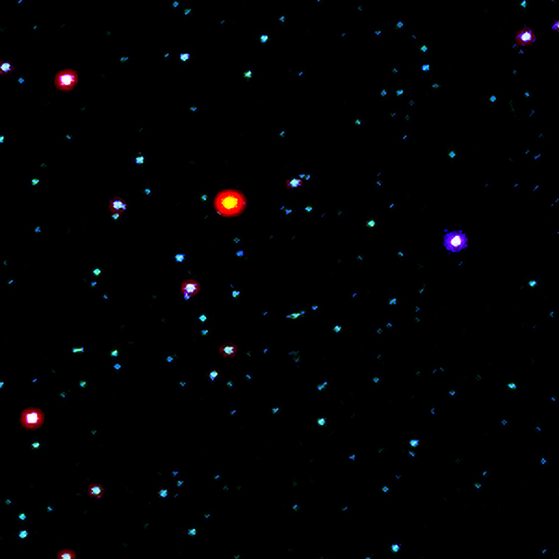 W_DSC_0941_1inch.jpg W_DSC_0941_1inch.jpg