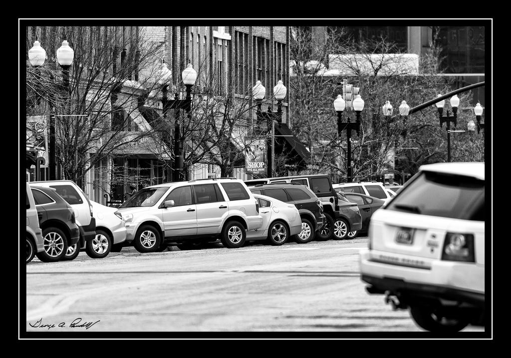 W_DSC_0973.jpg
