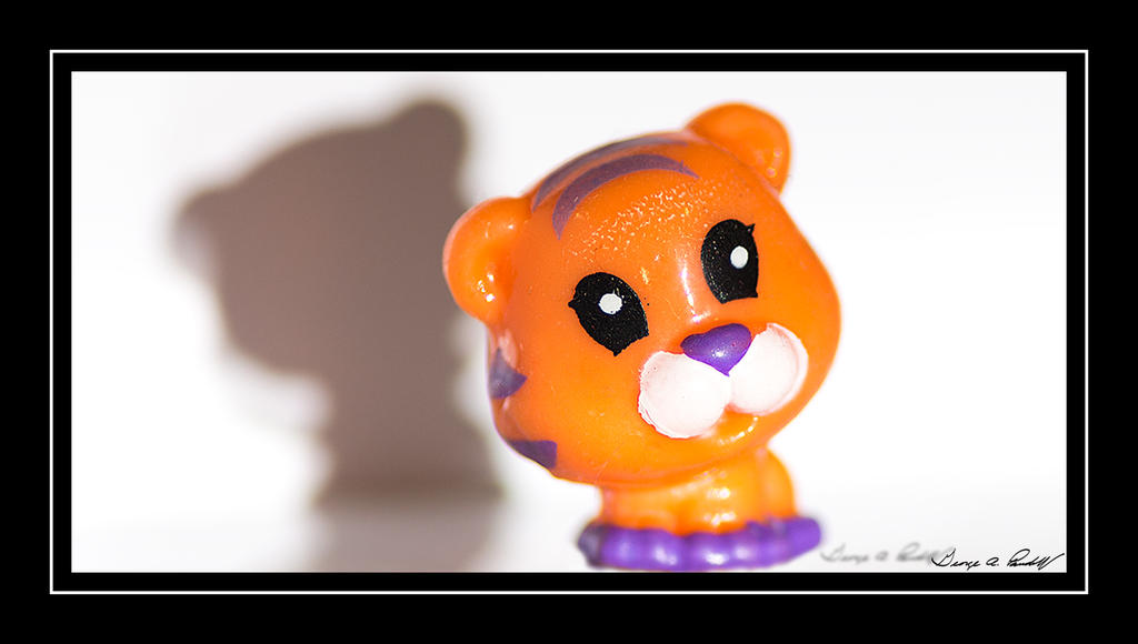 W_DSC_1064.jpg