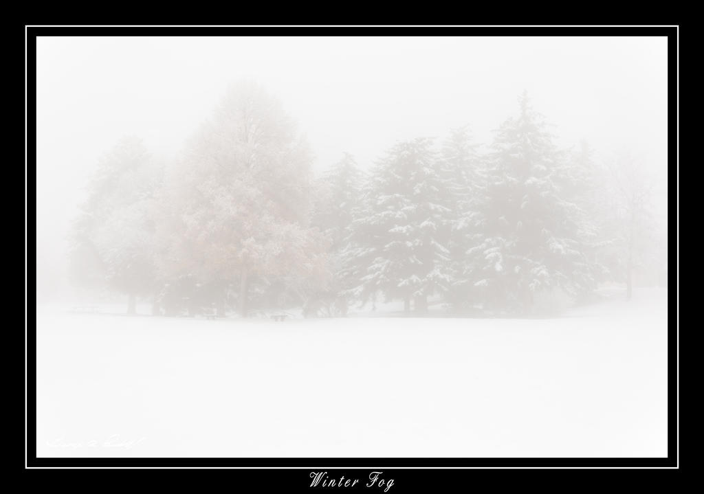 W_DSC_1074.jpg