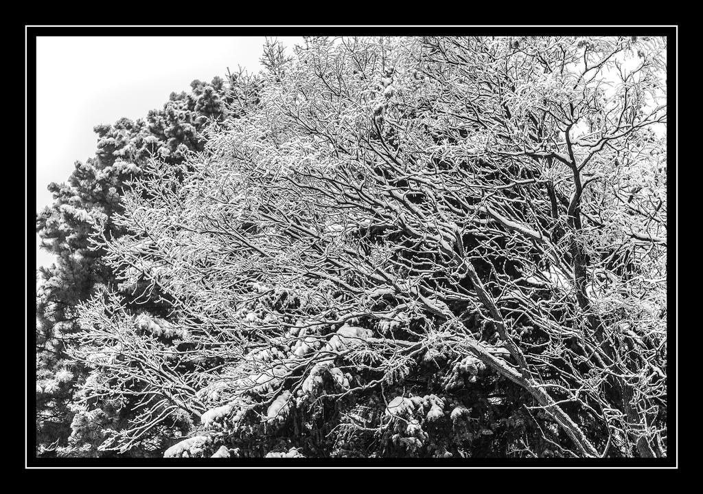 W_DSC_1083.jpg
