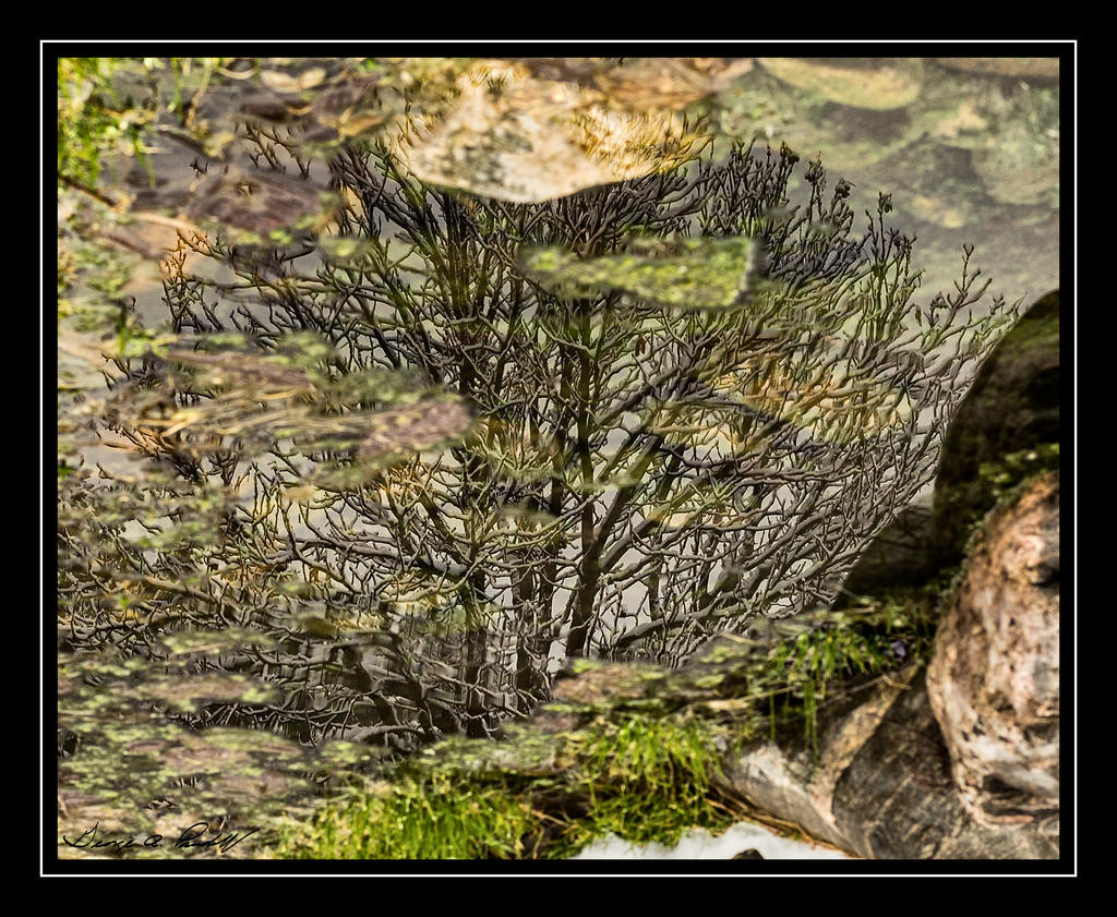 W_DSC_1087.jpg