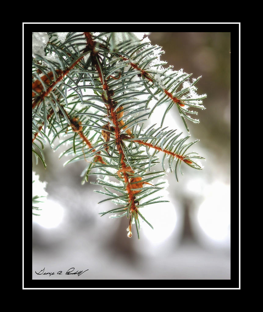 W_DSC_1094.jpg