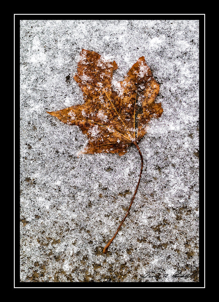 W_DSC_1098.jpg