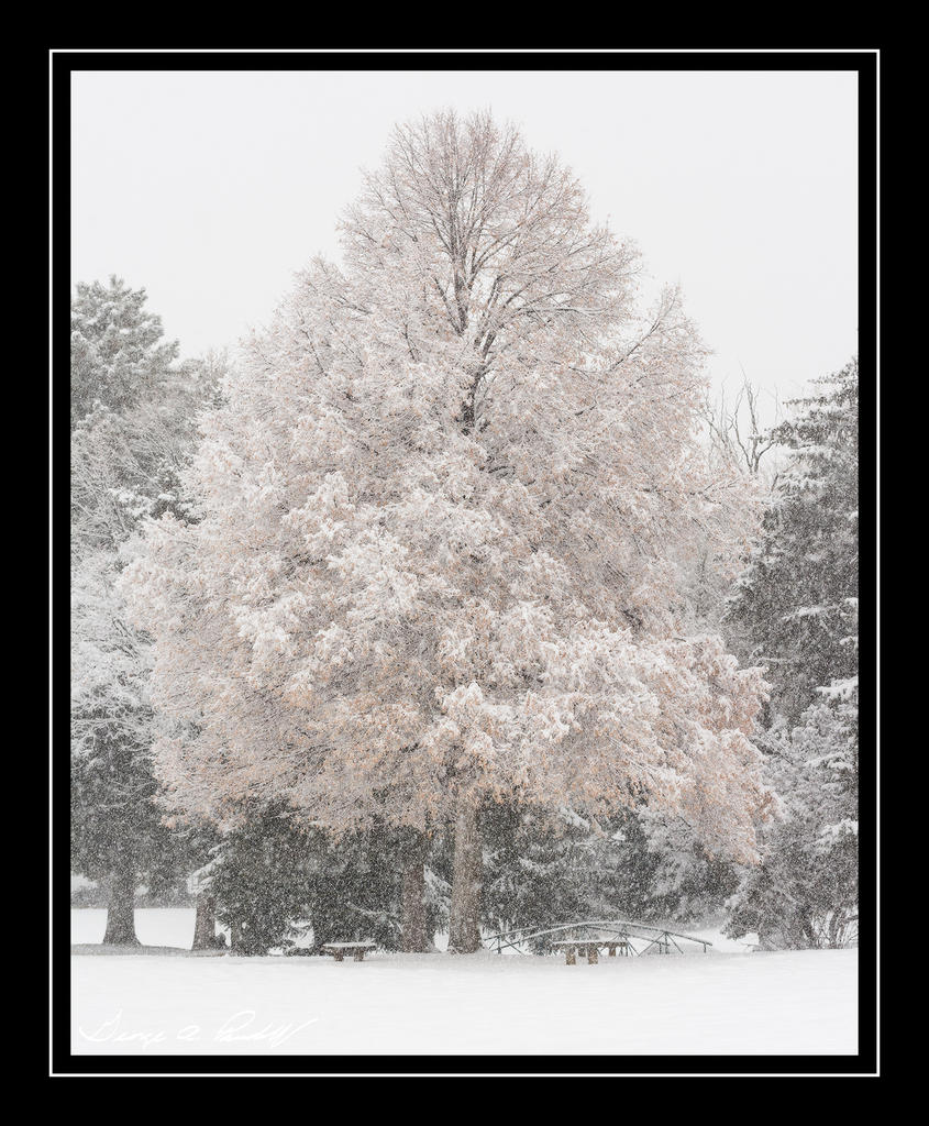 W_DSC_1266.jpg