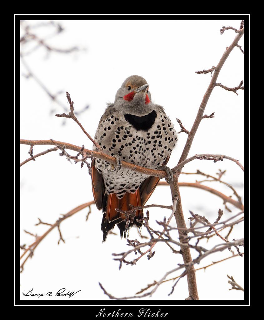 W_DSC_1304.jpg