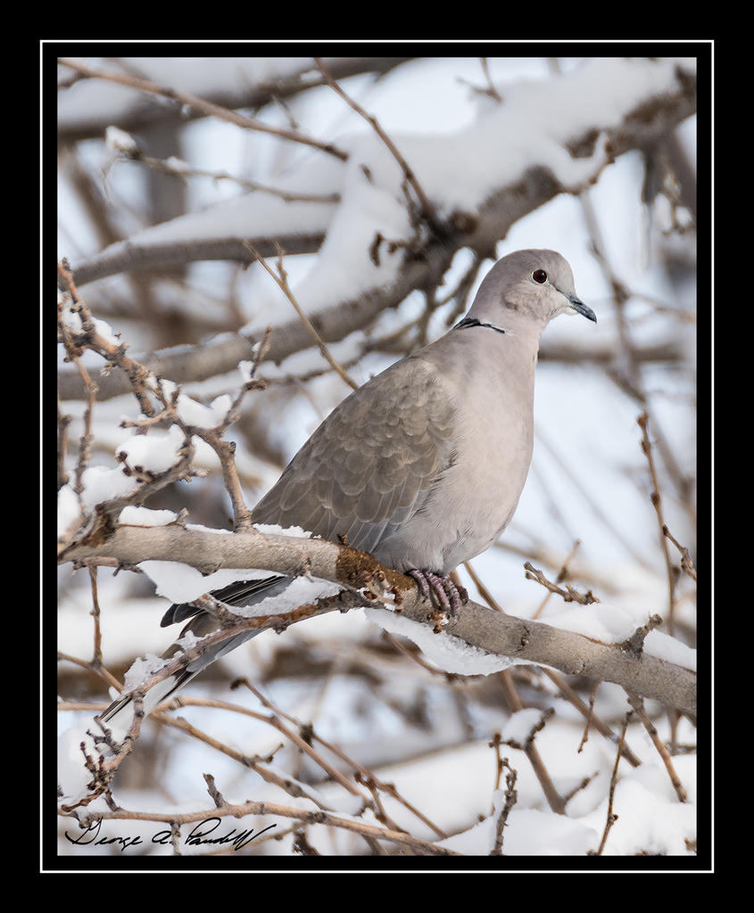 W_DSC_1340.jpg