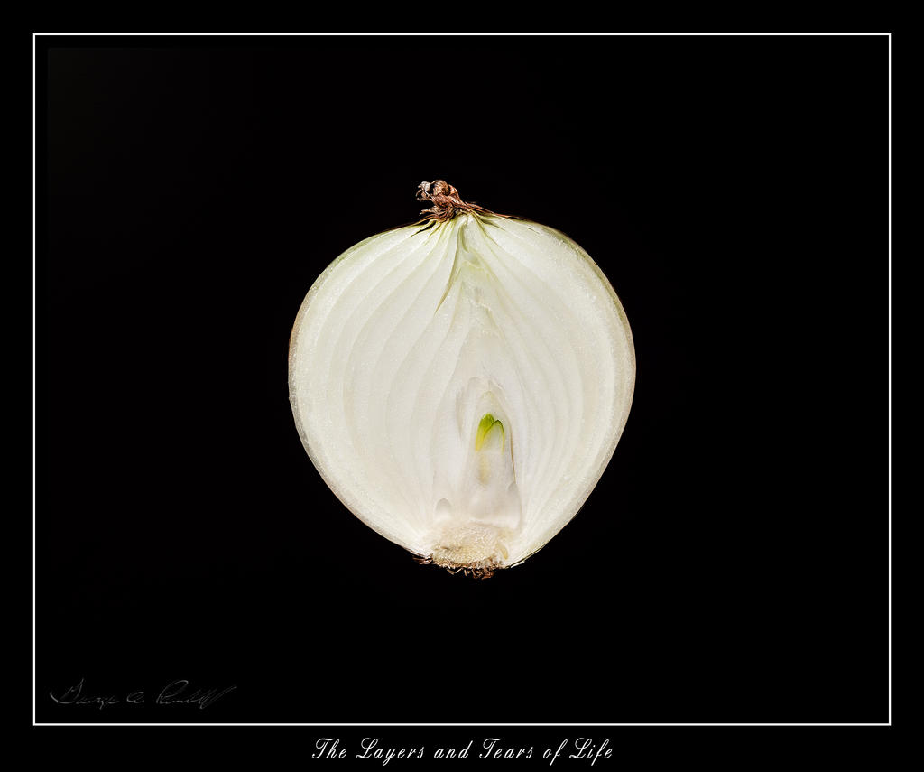 W_DSC_1345.jpg