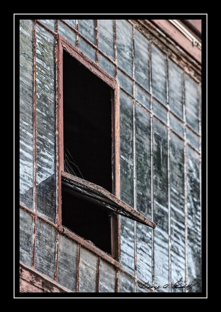 W_DSC_1442.jpg