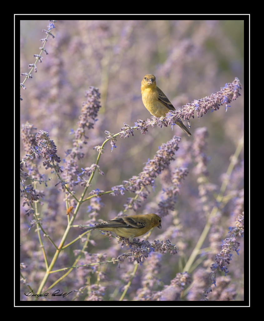 W_DSC_1473.jpg