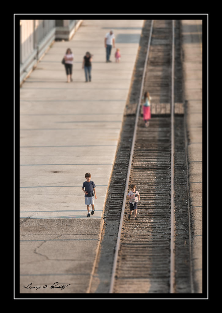 W_DSC_1519.jpg