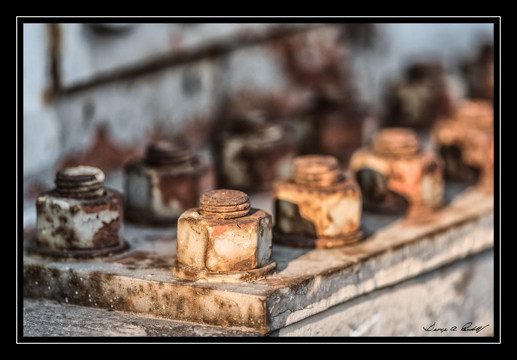 W_DSC_1527.jpg