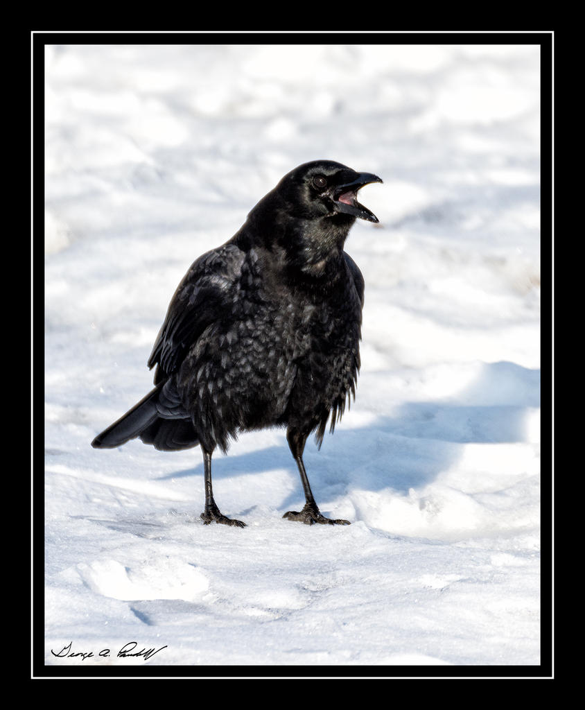 W_DSC_1554.jpg