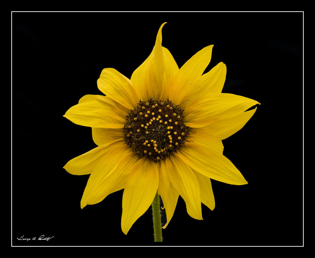 W_DSC_1570.jpg