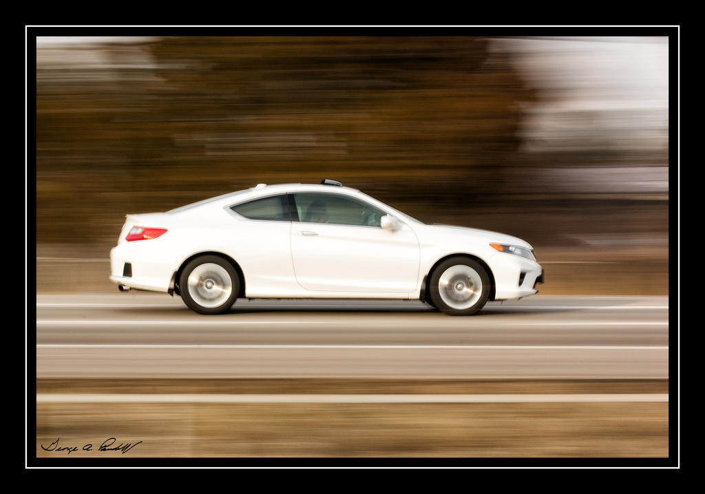 W_DSC_1688.jpg