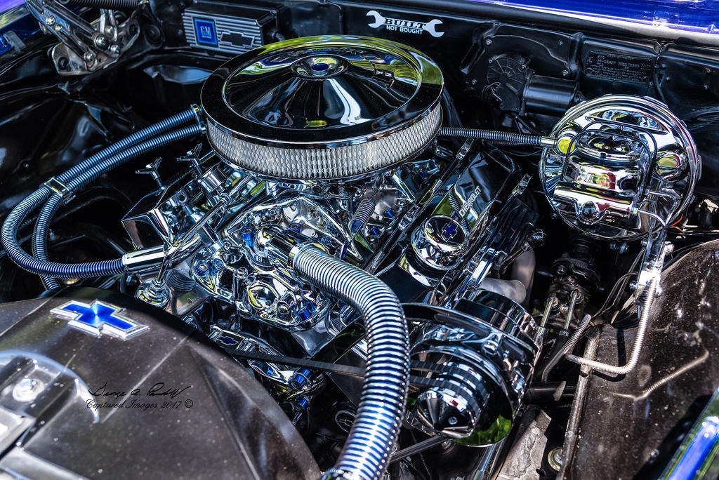 W_DSC_1698.jpg