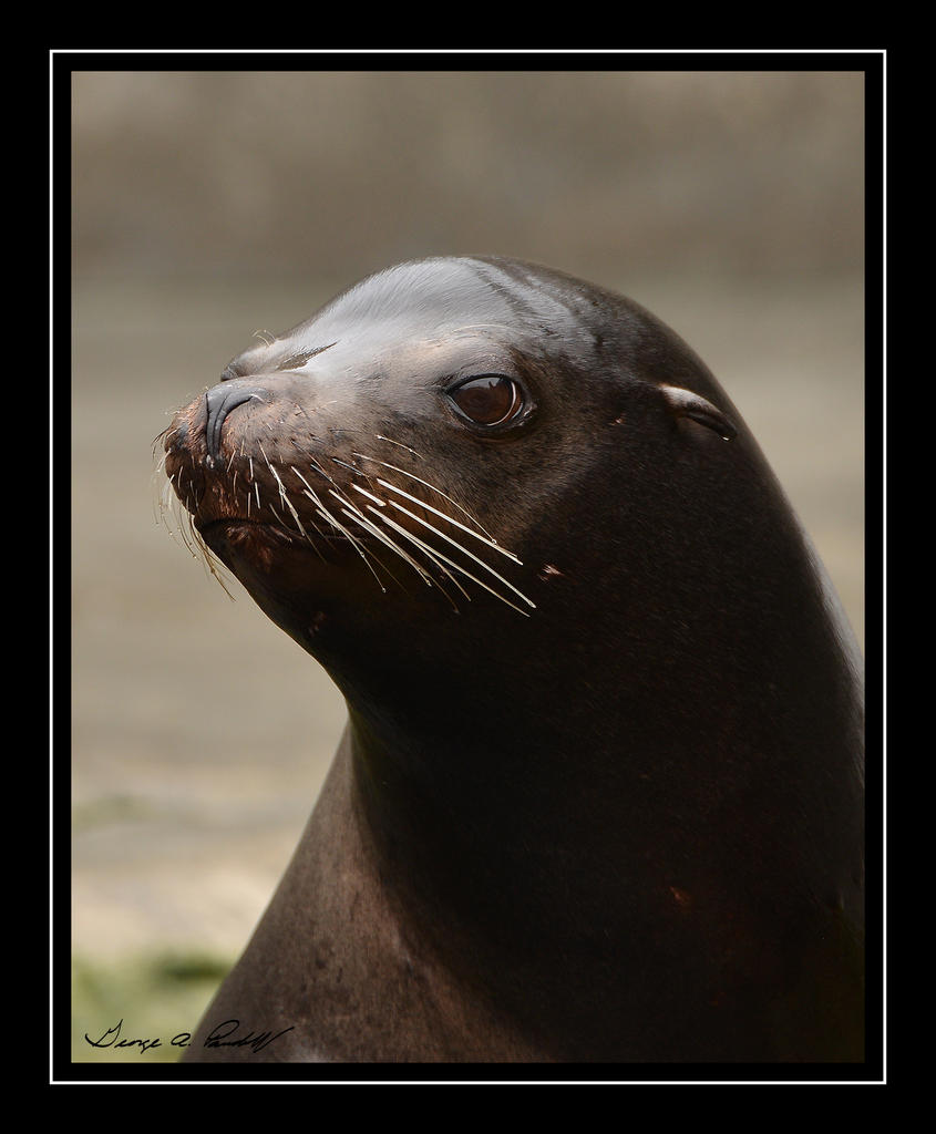 W_DSC_1727.jpg