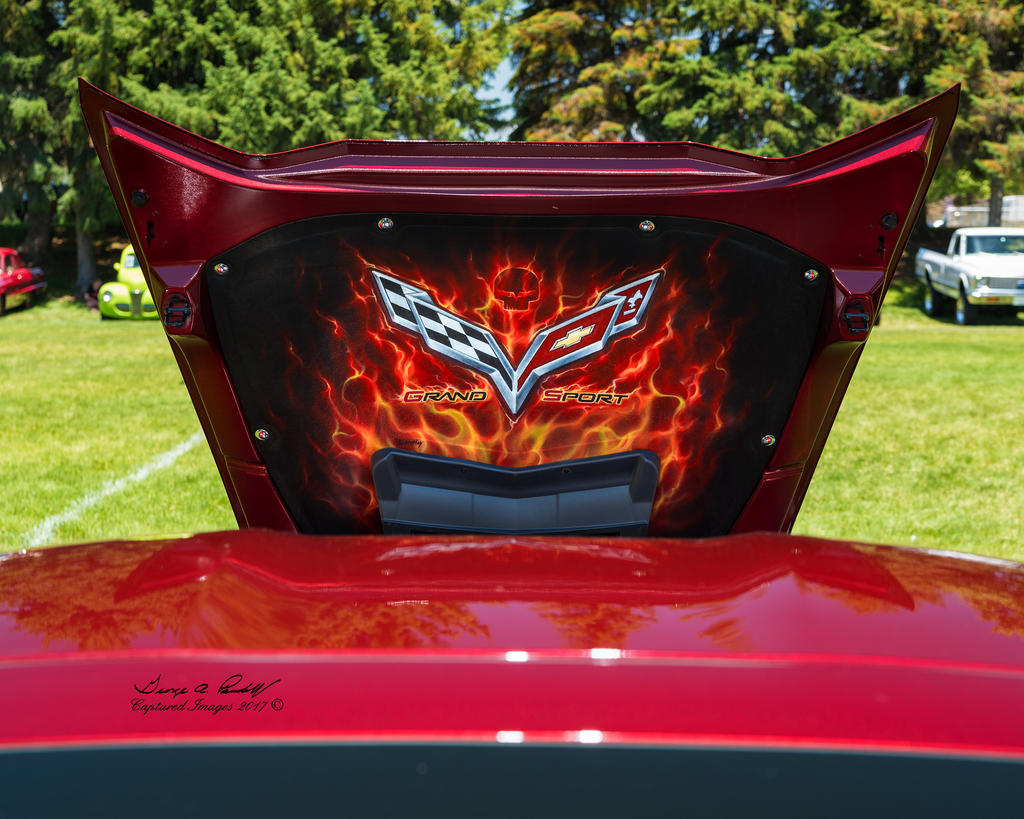 W_DSC_1744.jpg