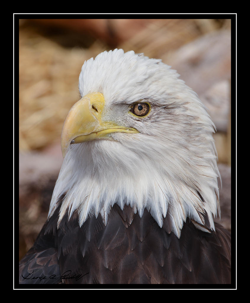W_DSC_1753.jpg