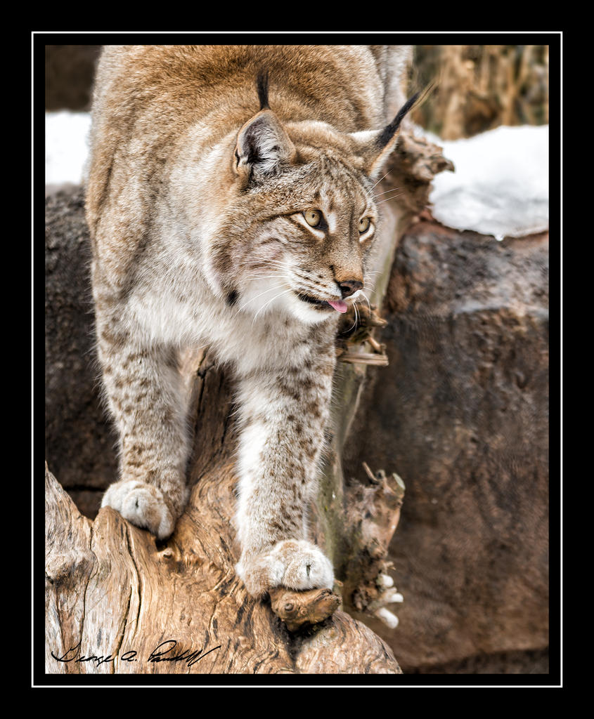 W_DSC_1777.jpg
