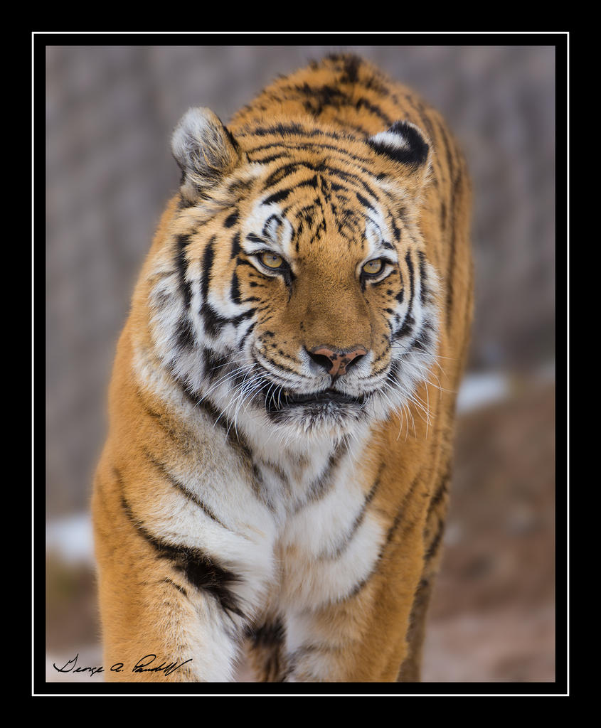 W_DSC_1800.jpg