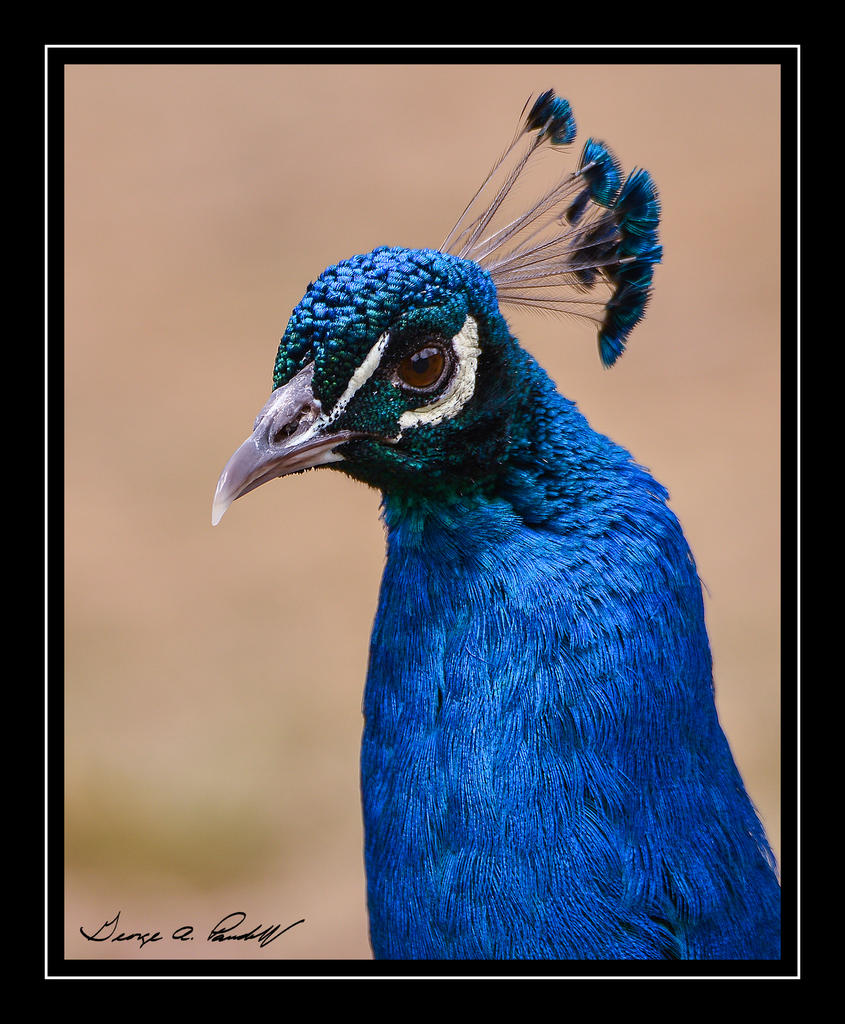 W_DSC_1838.jpg