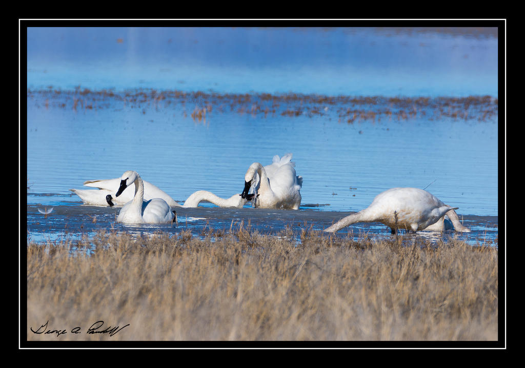 W_DSC_1934.jpg