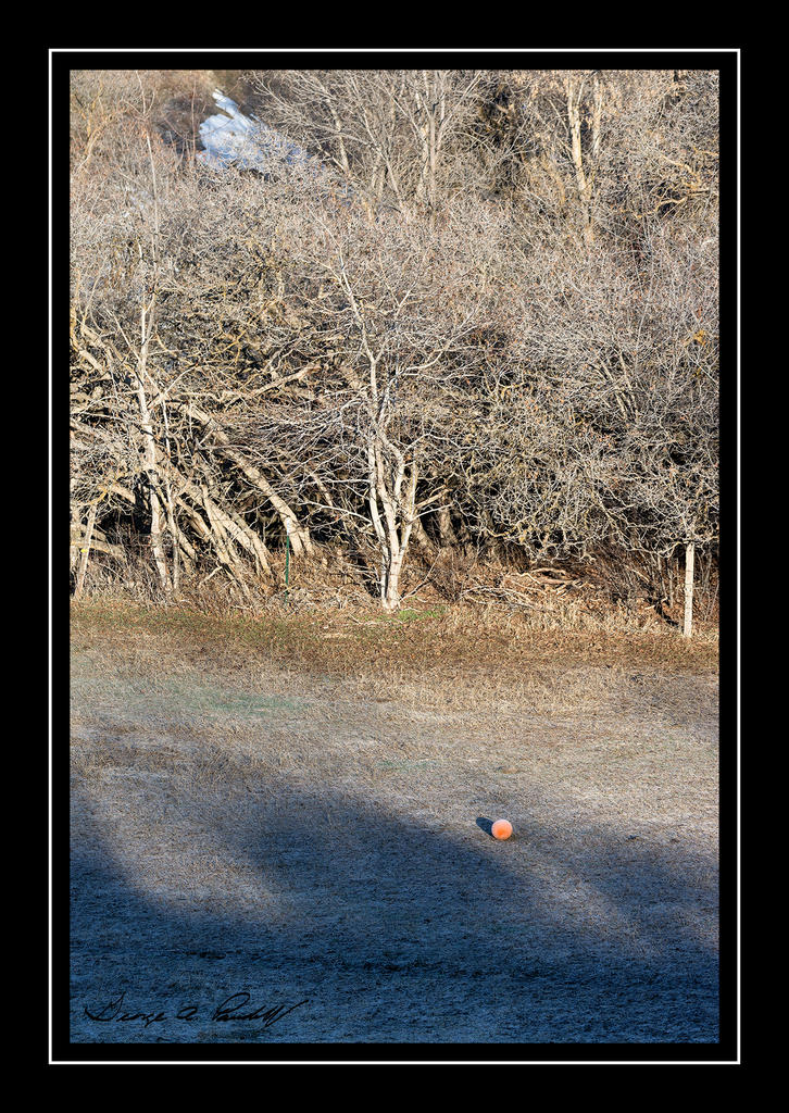 W_DSC_1948 (2).jpg