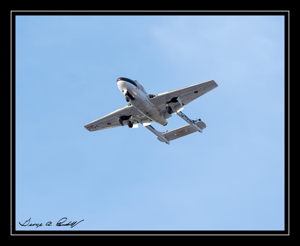 W_DSC_1975.jpg