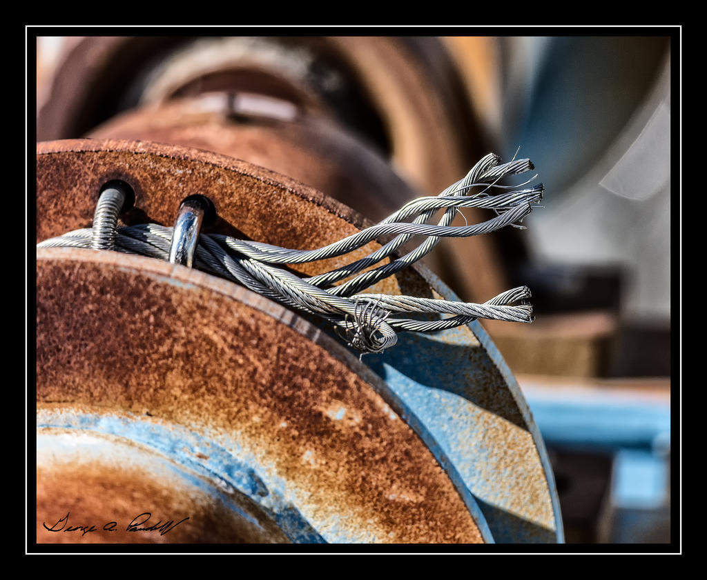 W_DSC_2096.jpg