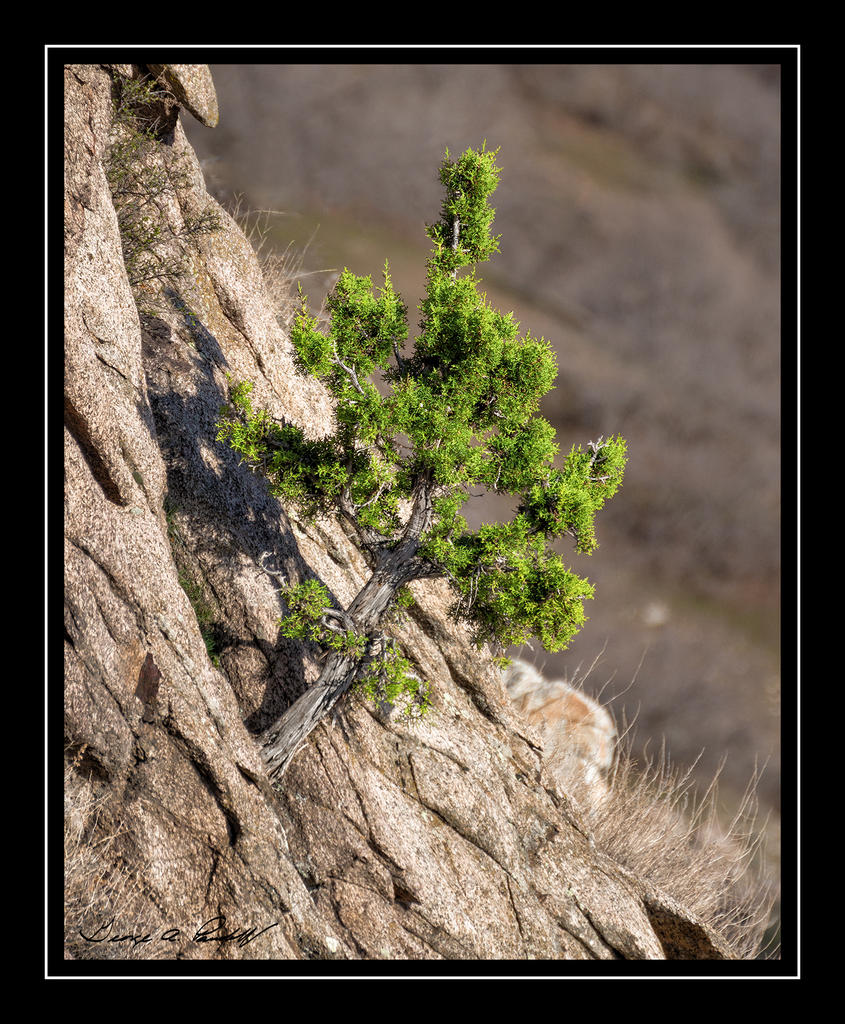 W_DSC_2190.jpg