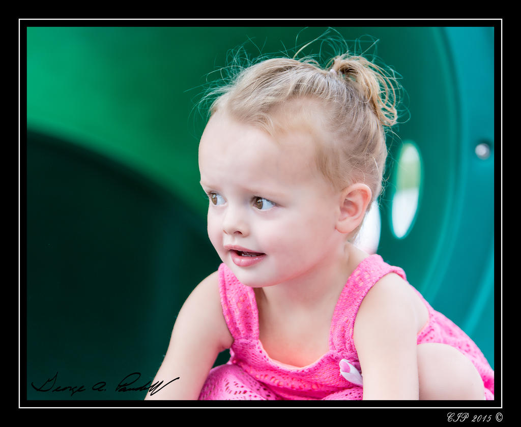W_DSC_2600.jpg