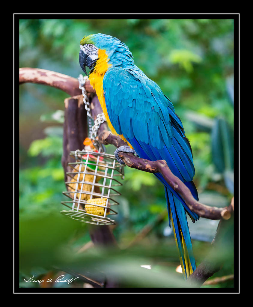 W_DSC_2645.jpg
