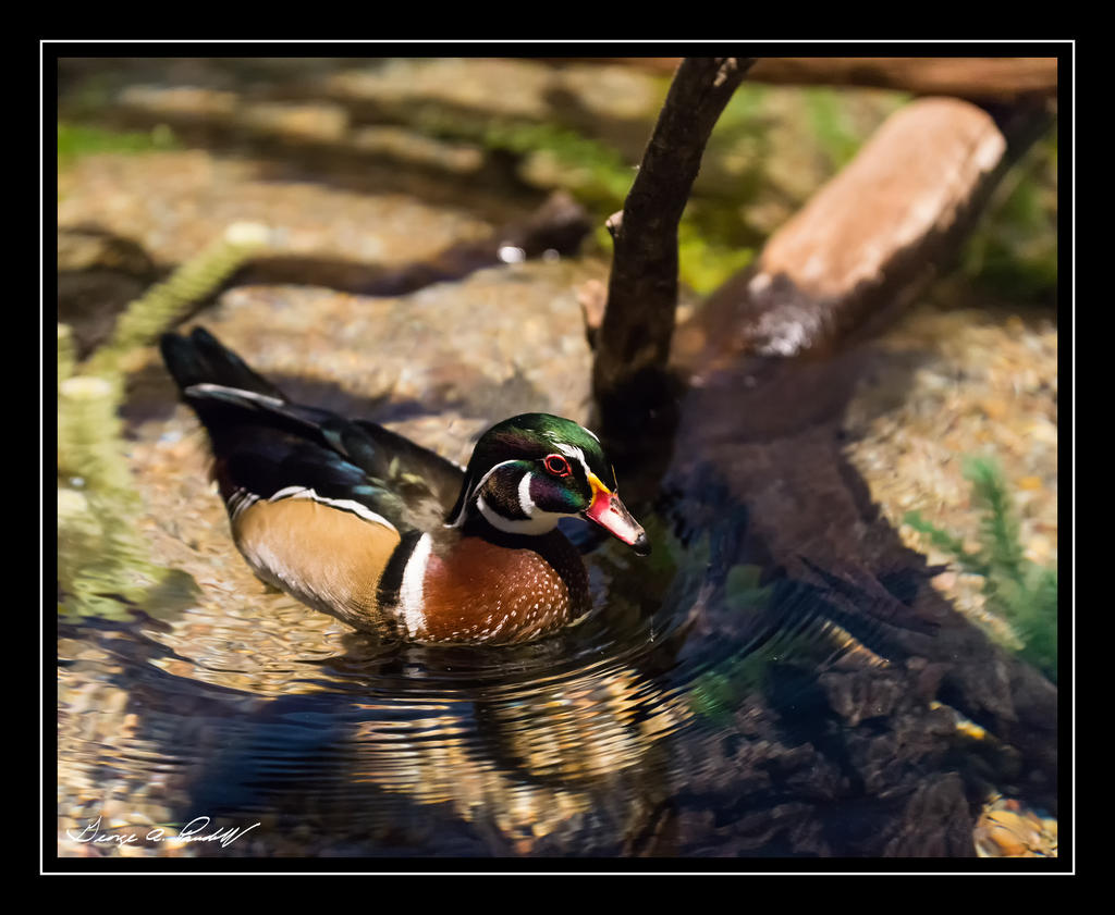 W_DSC_2647.jpg