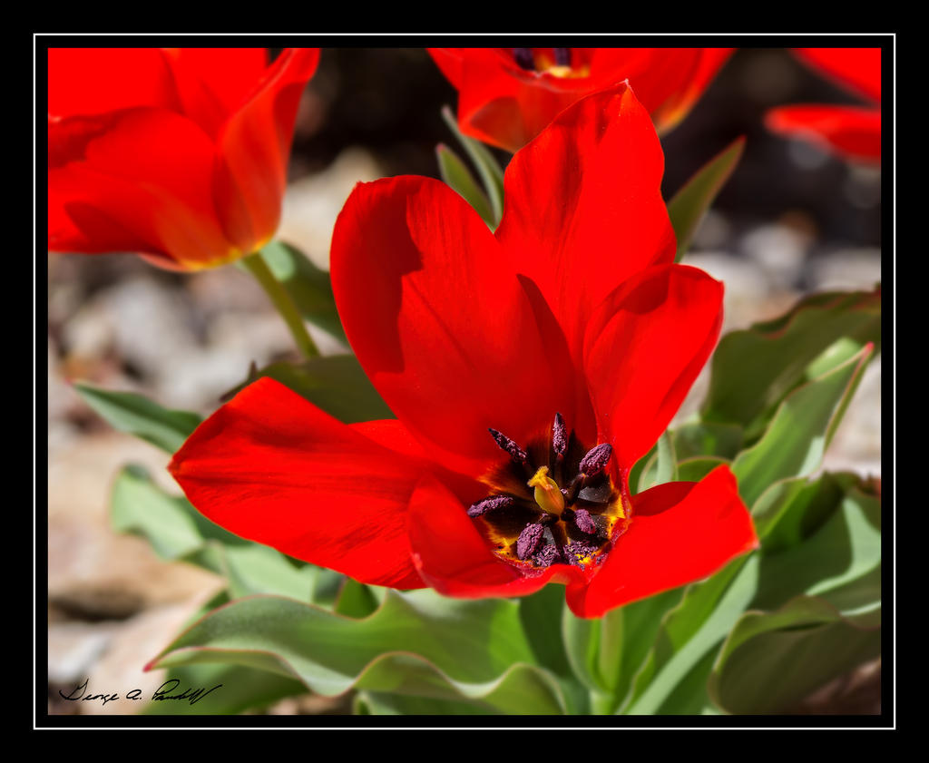 W_DSC_2660.jpg