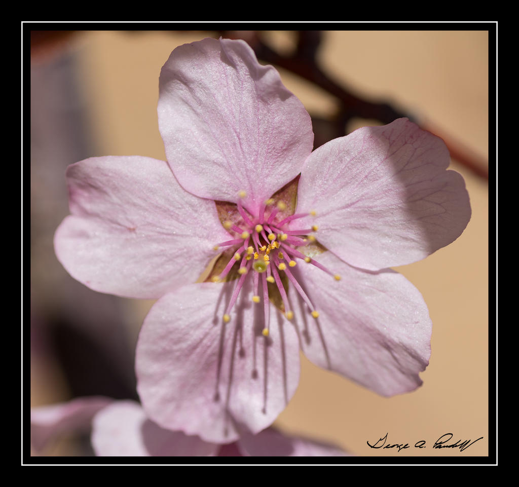 W_DSC_2666.jpg