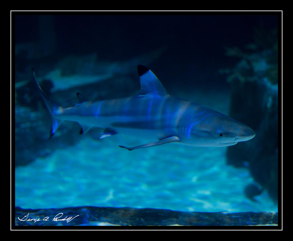 W_DSC_2687.jpg