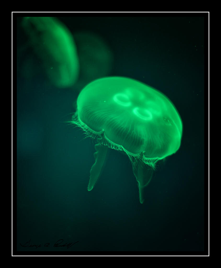 W_DSC_2695.jpg