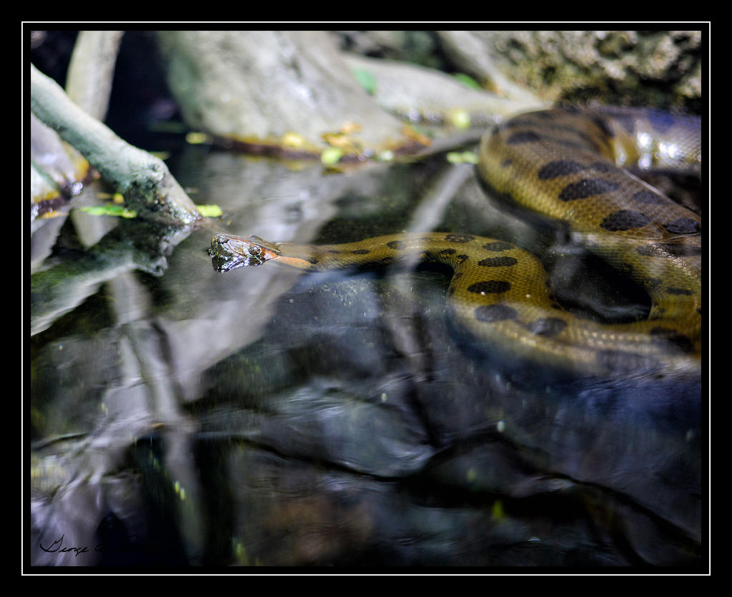 W_DSC_2704.jpg