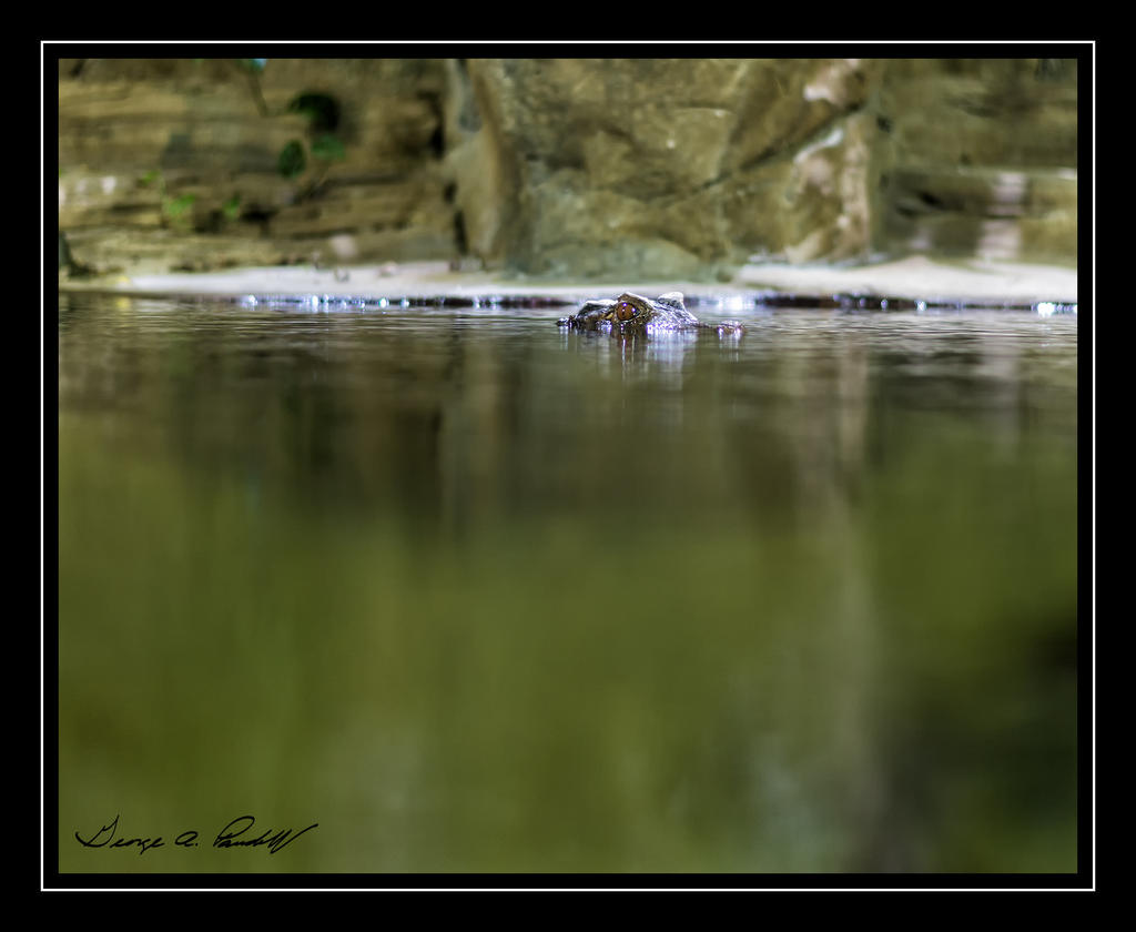 W_DSC_2718.jpg