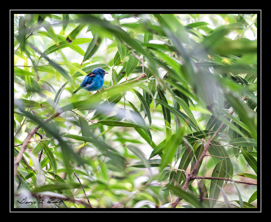 W_DSC_2735.jpg