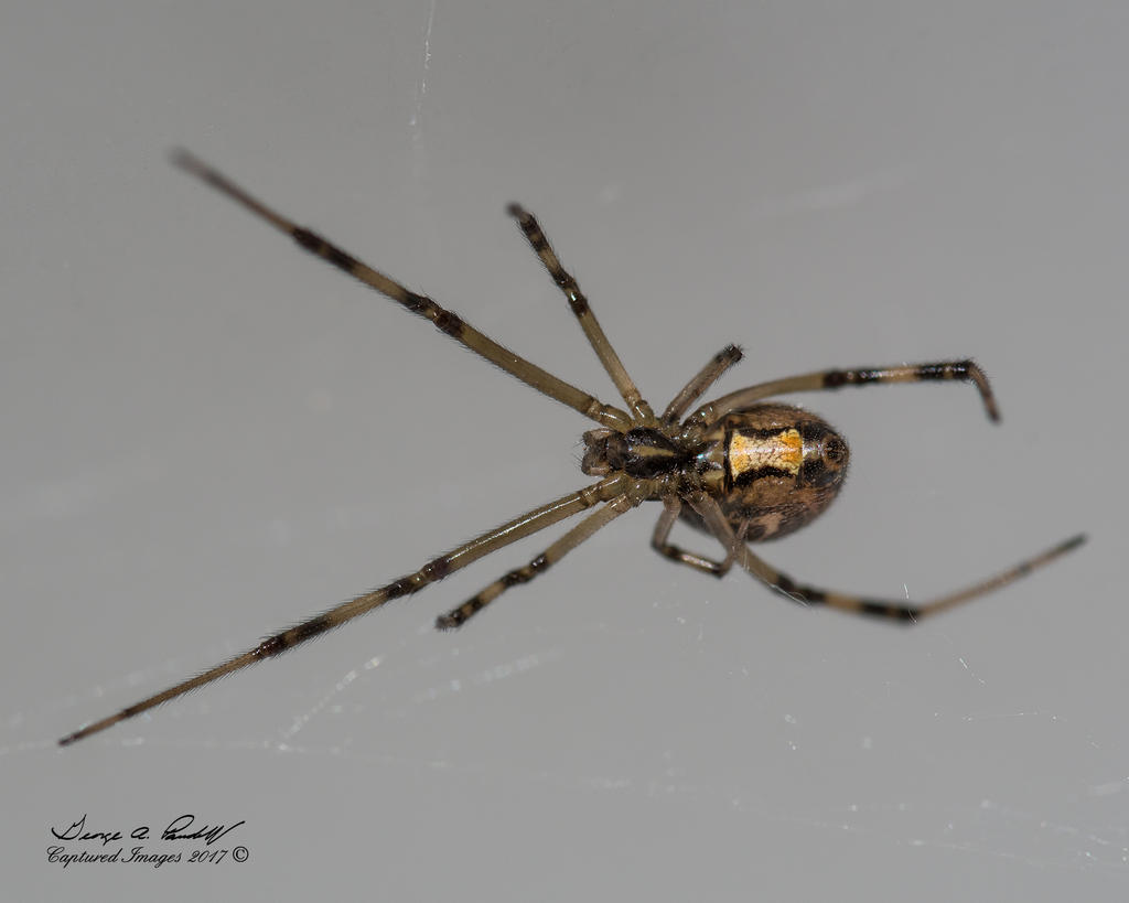 W_DSC_2911.jpg